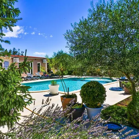 Beautiful With Huge Salted Swimming Pool
